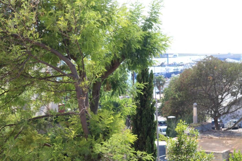 Junto Al Mar En Rosas, Puig Rom Nuevo, Wifi, Tranquilidad Apartment Exterior foto